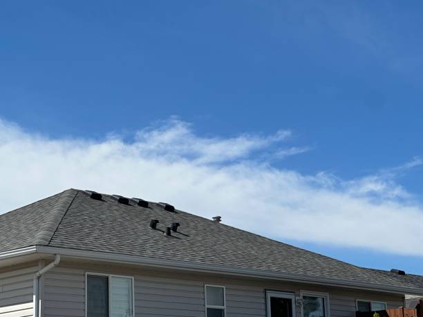 Best Asphalt Shingle Roofing  in Fairway, KS